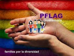 Odoo • Texto e imagen